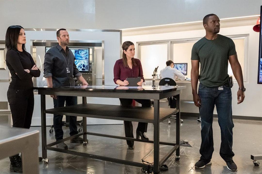 Blindspot : Photo Sullivan Stapleton, Jaimie Alexander, Audrey Esparza, Rob Brown