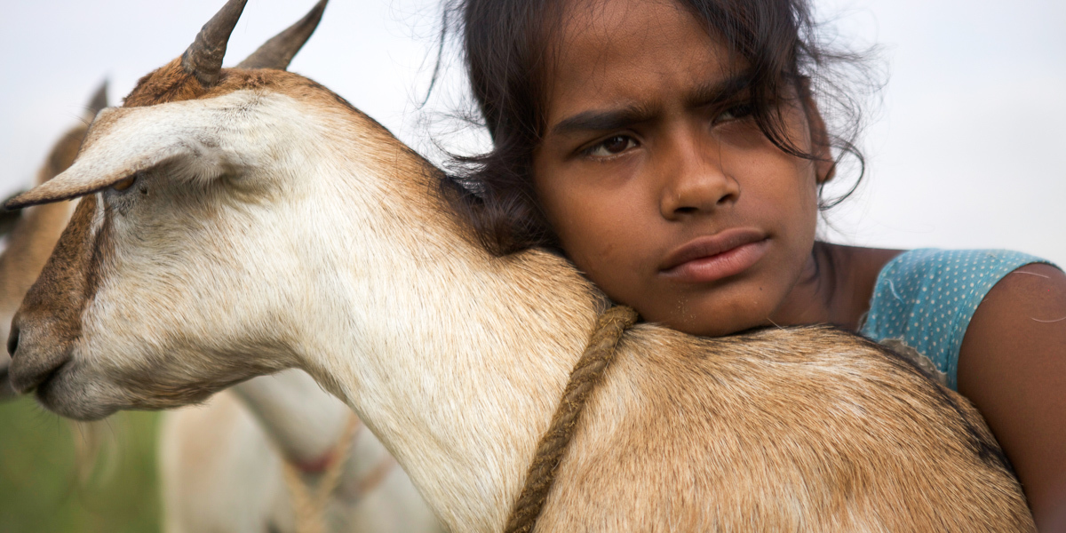 Village Rockstars : Photo