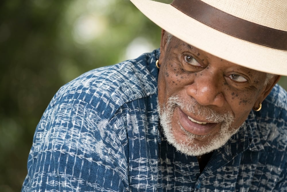 The Story of Us with Morgan Freeman : Photo