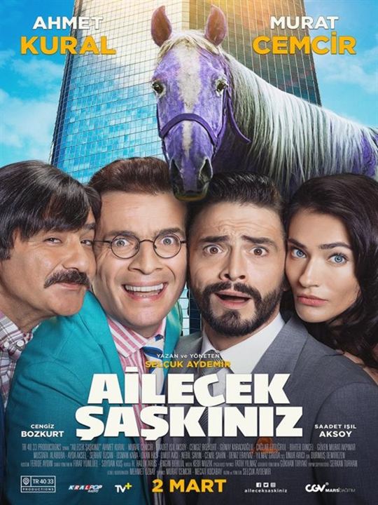 Ailecek Şaşkınız : Affiche