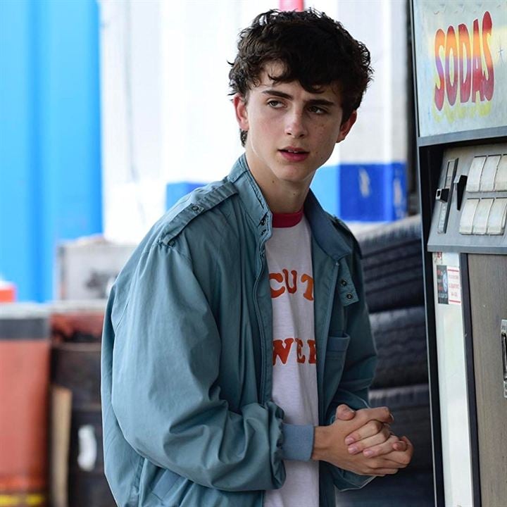 Chaudes nuits d'été : Photo Timothée Chalamet