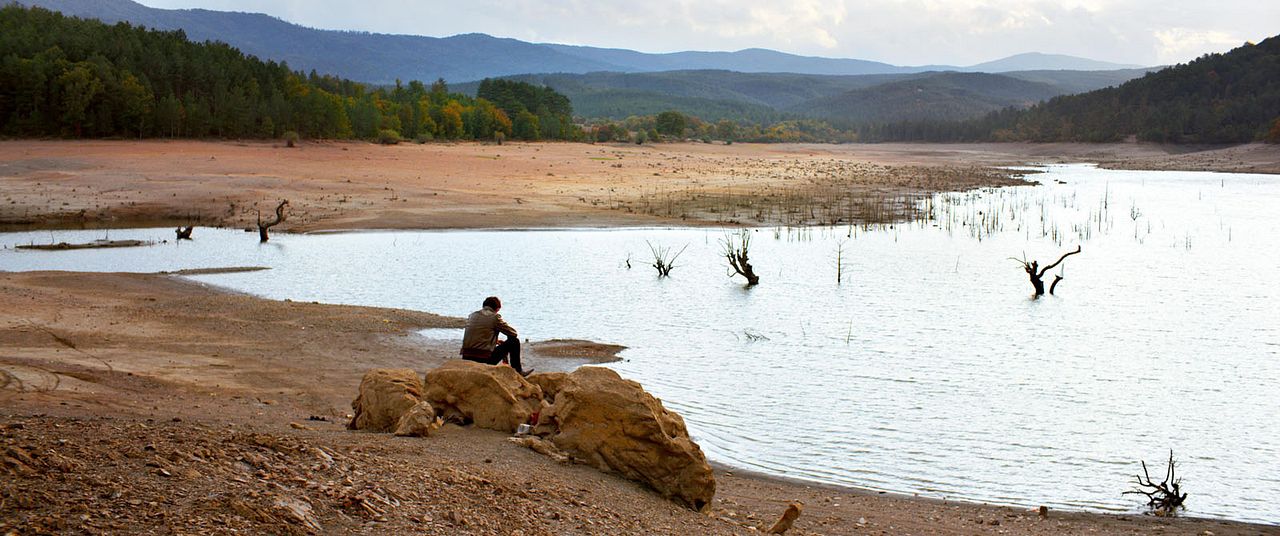 Le Poirier sauvage : Photo