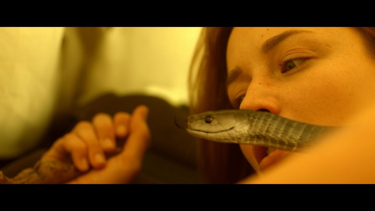 Serpent : Photo Sarah Dumont