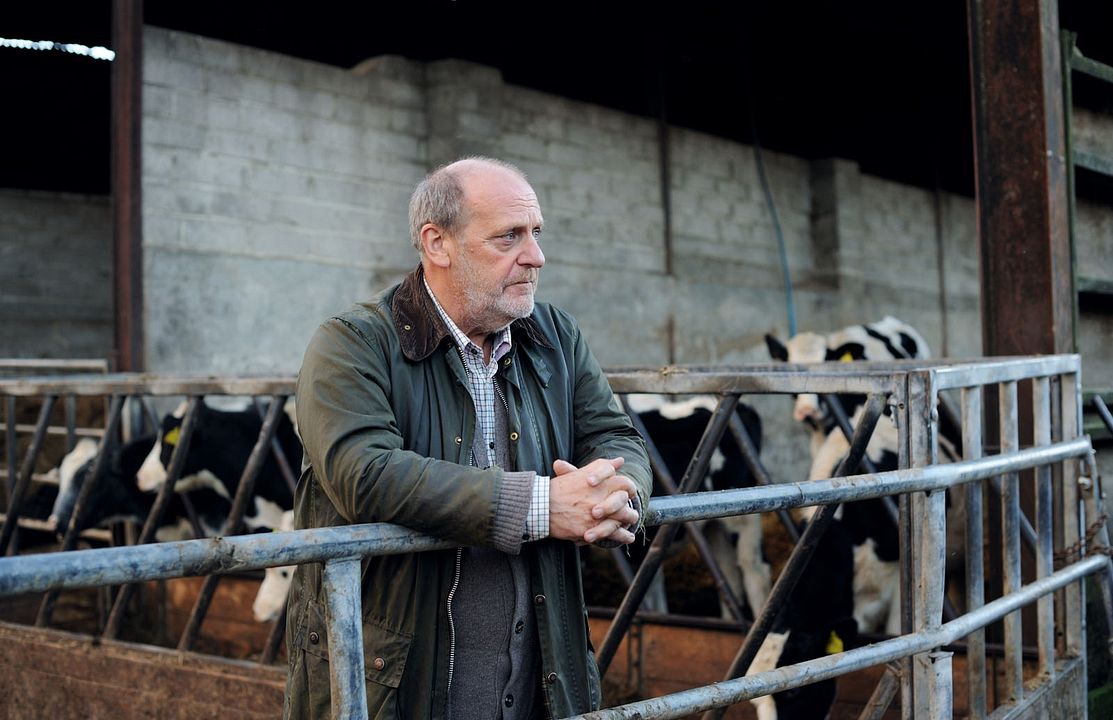 The Levelling : Photo David Troughton