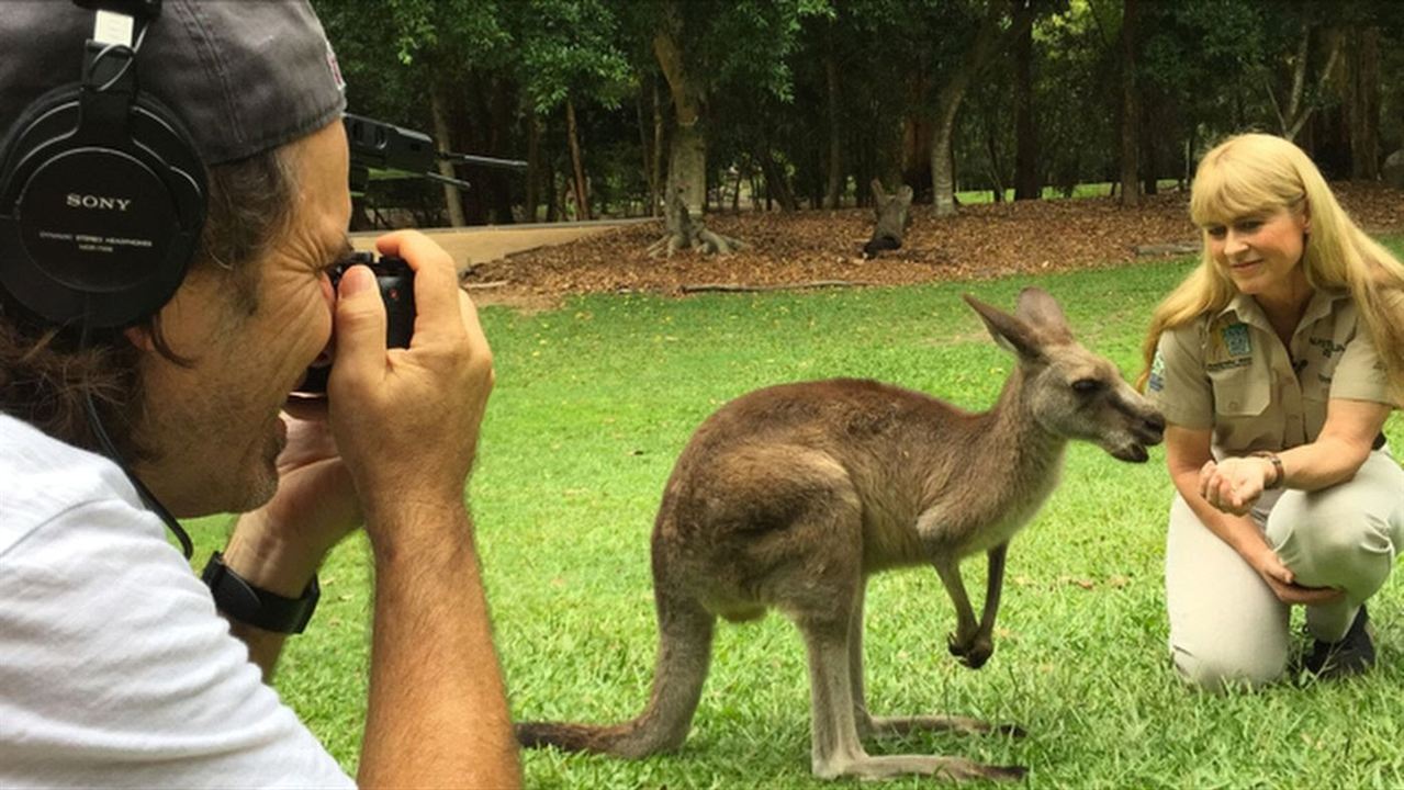 Kangaroo – A Love-Hate Story : Photo