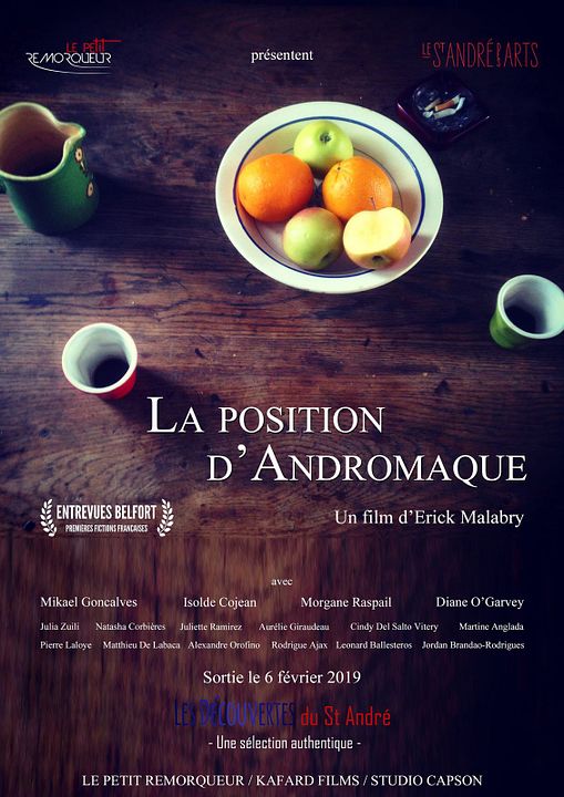 La Position d'Andromaque : Affiche