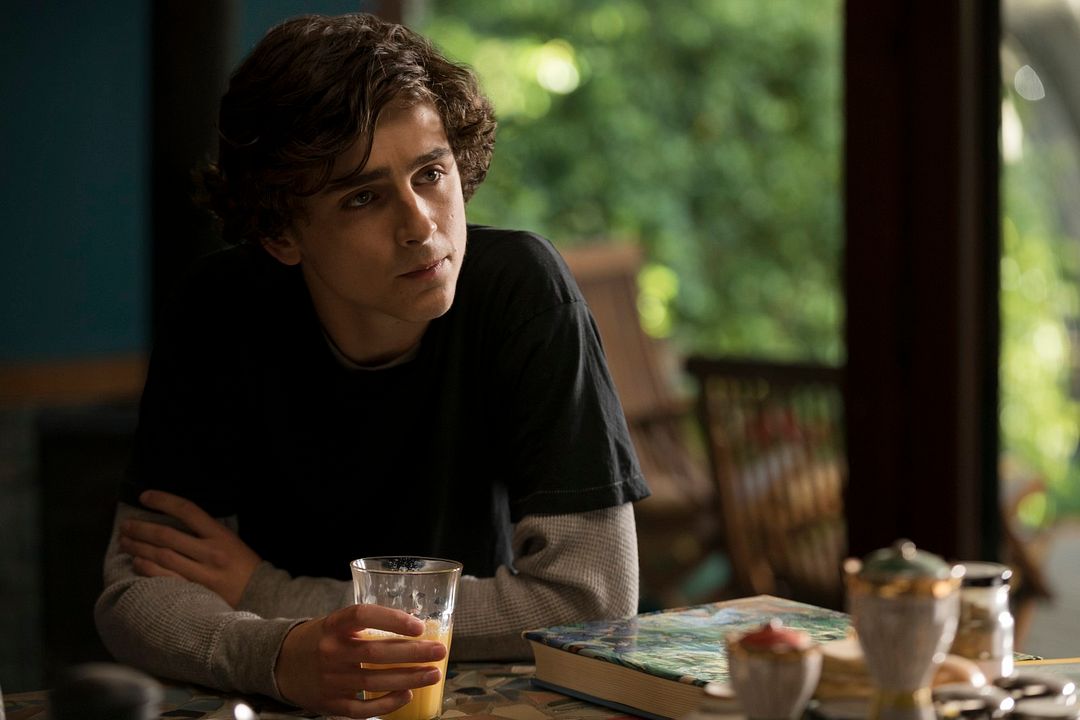 My Beautiful Boy : Photo Timothée Chalamet