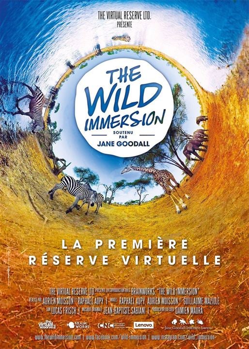 The Wild Immersion : Affiche