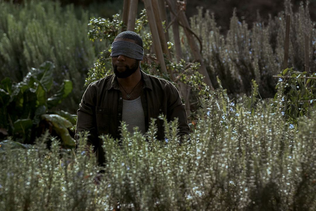 Bird Box : Photo Trevante Rhodes