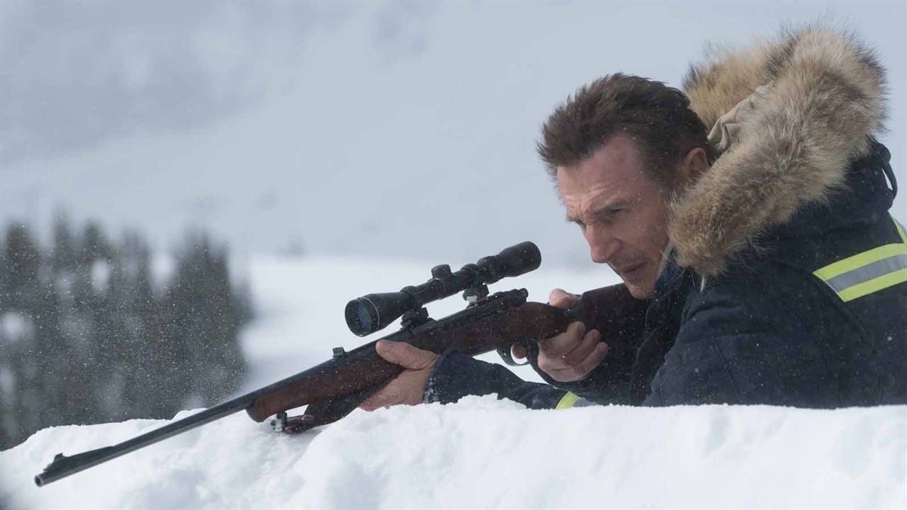 Sang froid : Photo Liam Neeson