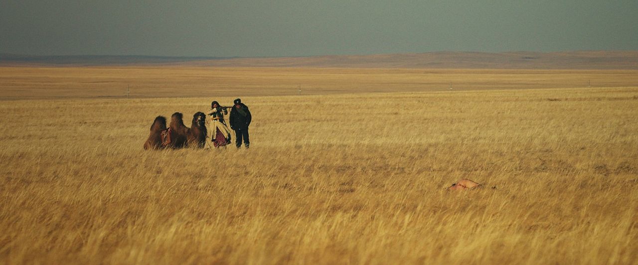 La Femme des steppes, le flic et l'oeuf : Photo