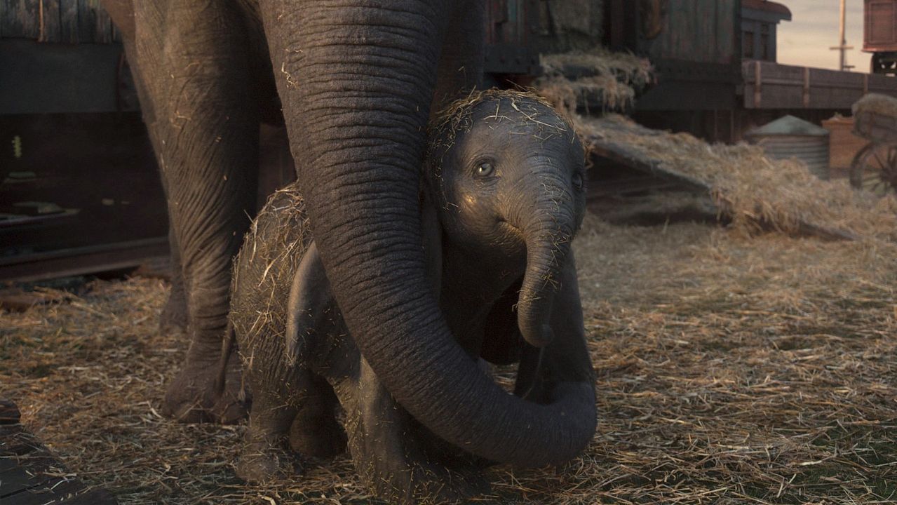 Dumbo : Photo