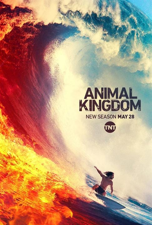 Animal Kingdom : Affiche