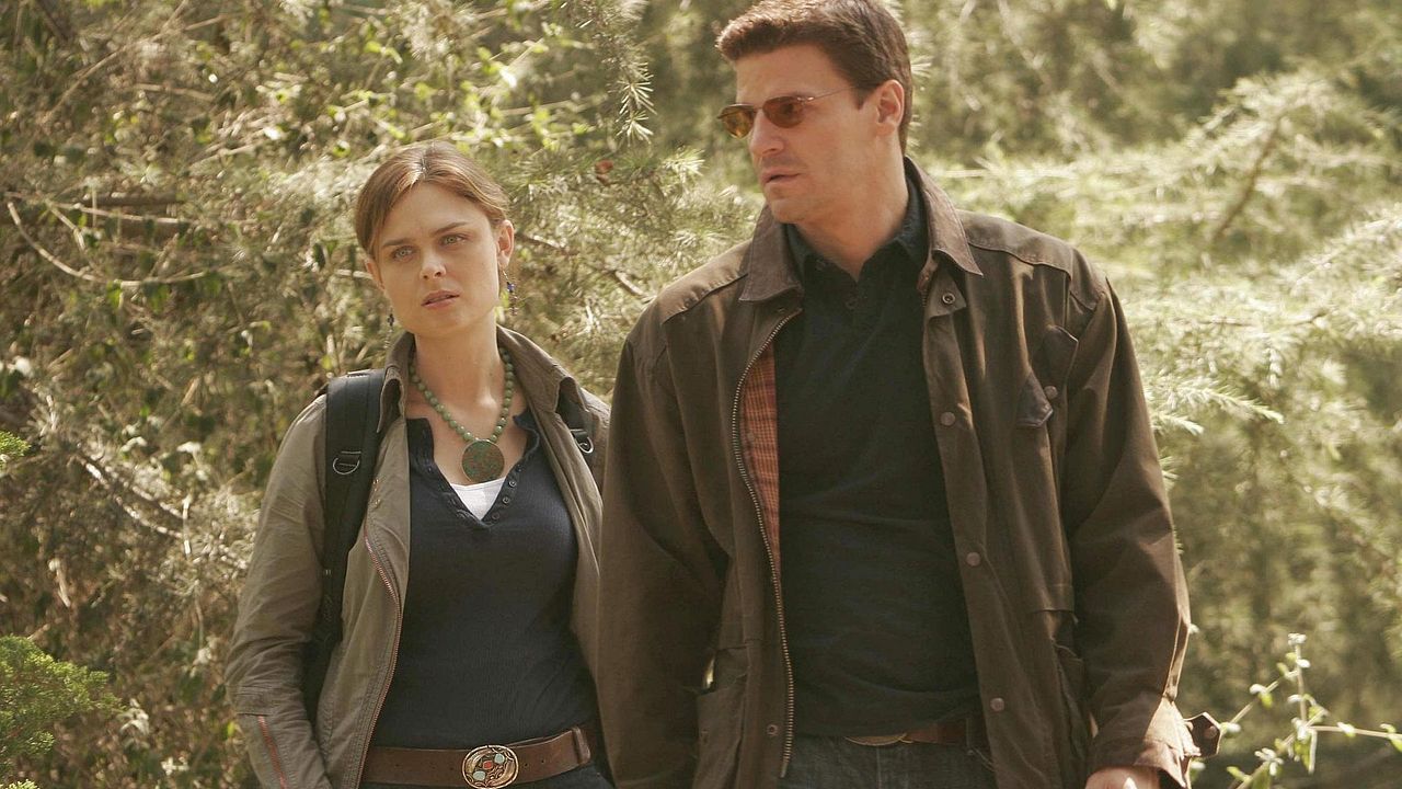Bones : Affiche