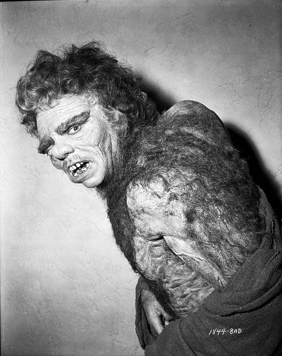 L'Homme aux mille visages : Photo