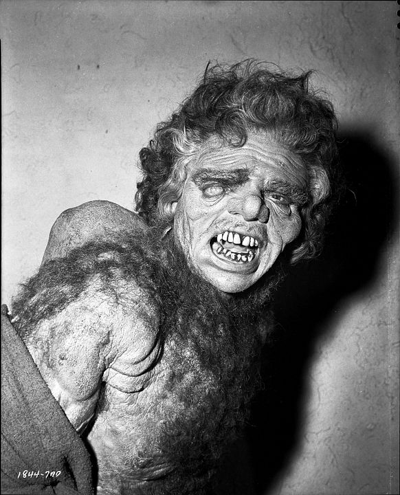 L'Homme aux mille visages : Photo