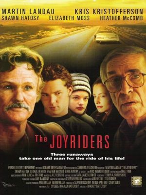 The Joyriders : Affiche
