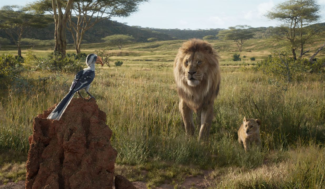 Le Roi Lion : Photo