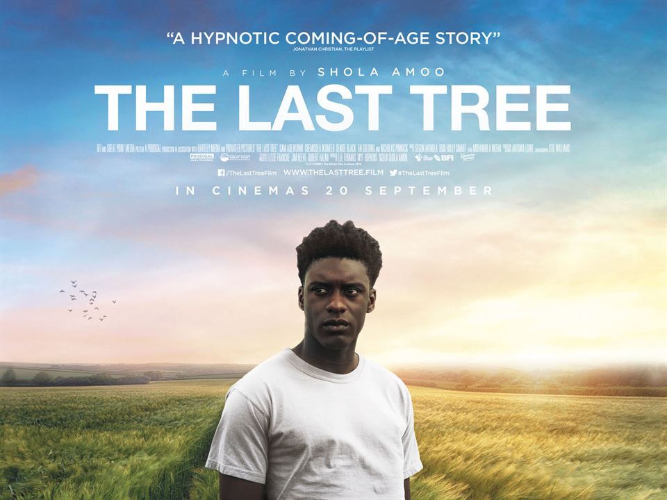 The Last Tree : Affiche