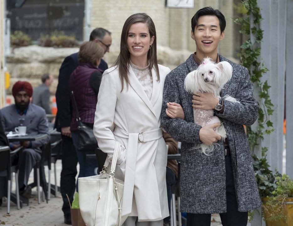 Mes autres vies de chien : Photo Henry Lau, Daniela Barbosa