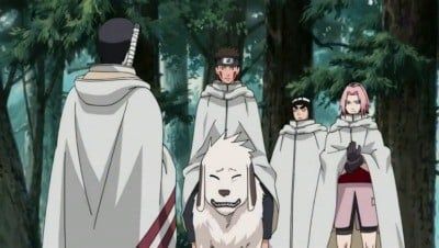 Naruto Shippuden : Affiche