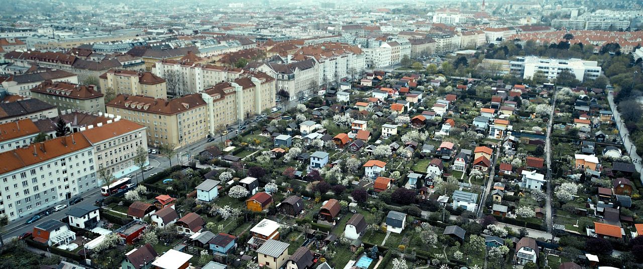 Nobadi : Photo