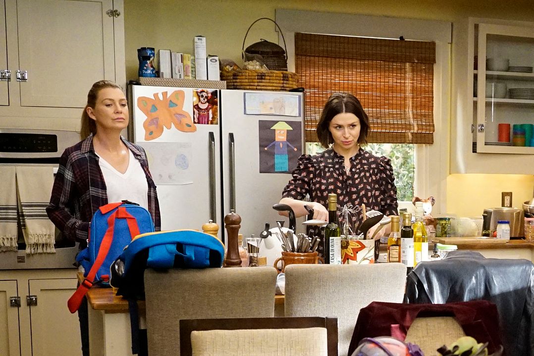Grey's Anatomy : Photo Caterina Scorsone, Ellen Pompeo