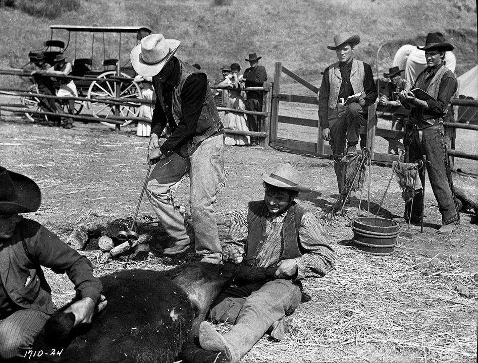 La Belle rousse du Wyoming : Photo