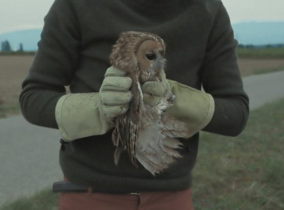 L'Île Aux Oiseaux : Photo