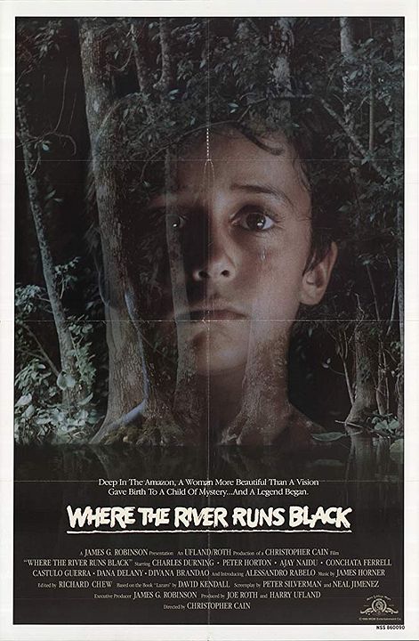 Where The River Runs Black : Affiche