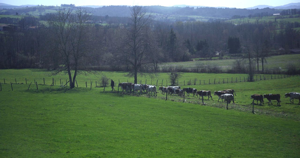 Cyrille, agriculteur, 30 ans, 20 vaches, du lait, du beurre, des dettes : Photo