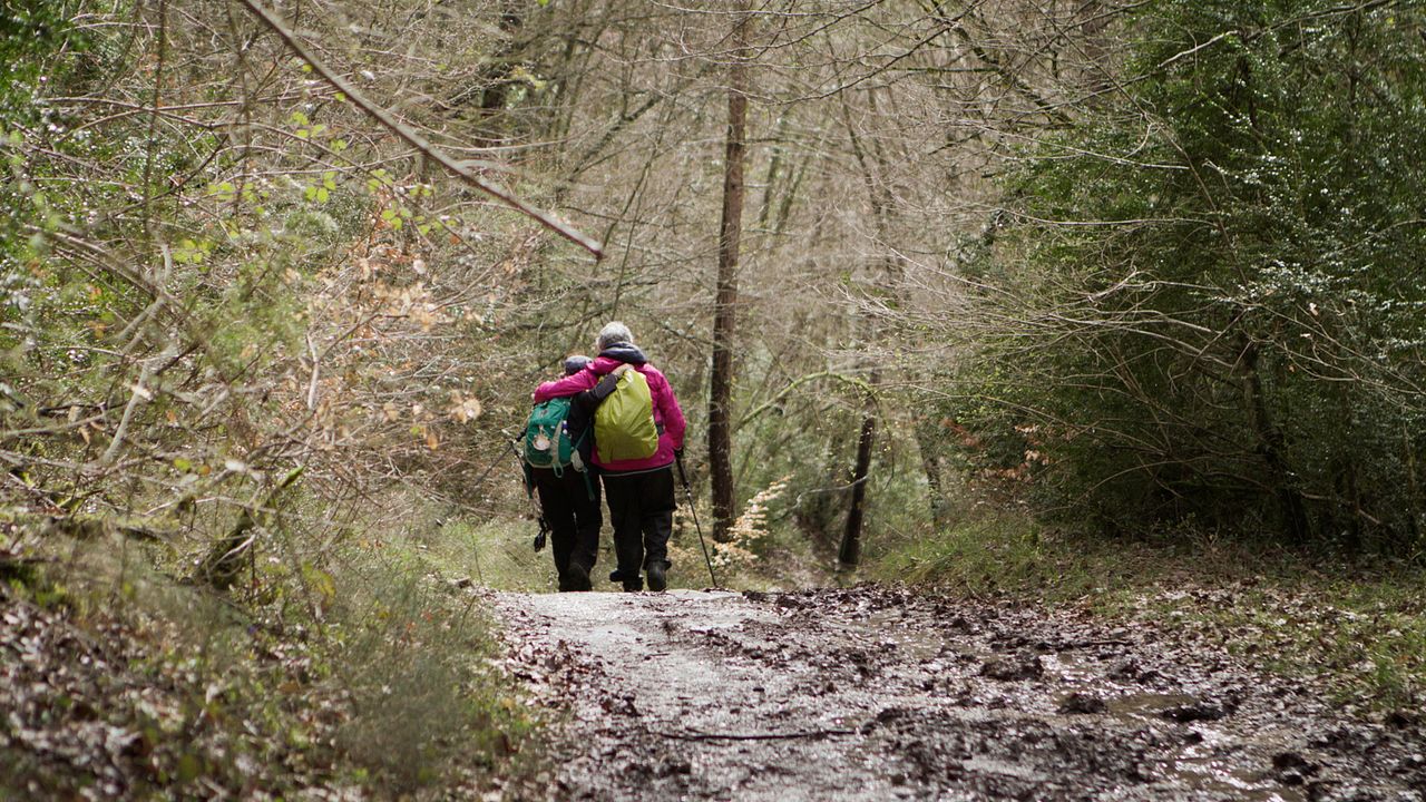 Sur la route de Compostelle : Photo