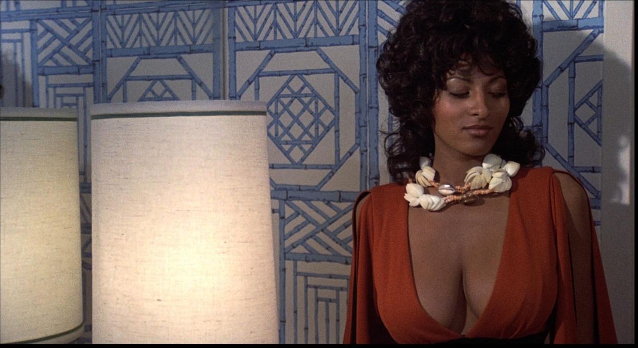 Coffy - La Panthère noire de Harlem : Photo