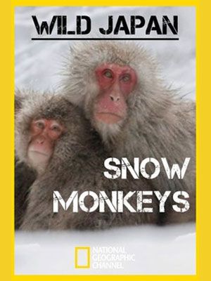 Destination Wild : Les macaques japonais : Affiche