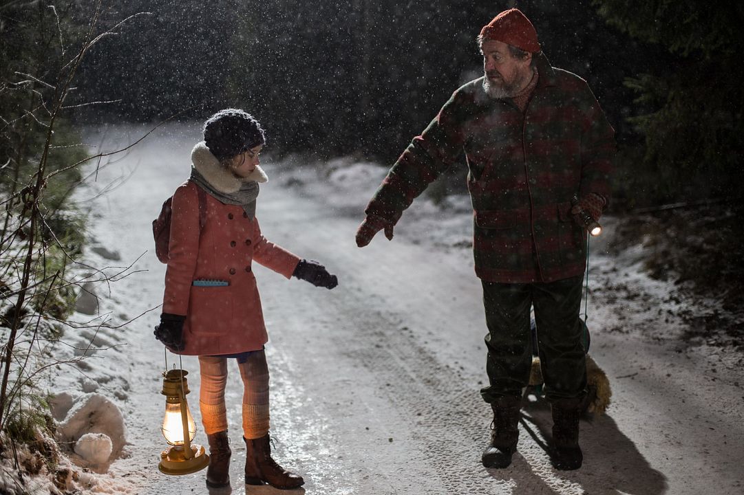 Noël dans la forêt de la chouette : Photo