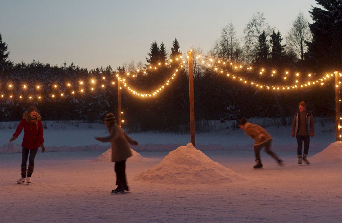 Noël dans la forêt de la chouette : Photo