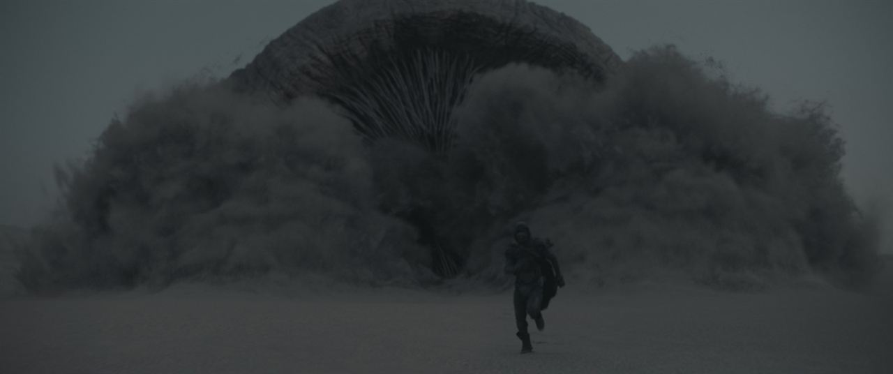 Dune : Photo Timothée Chalamet