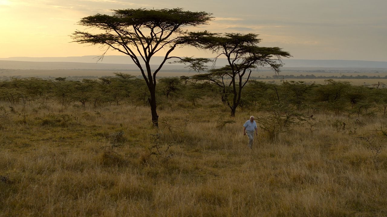 David Attenborough : une vie sur notre planète : Photo