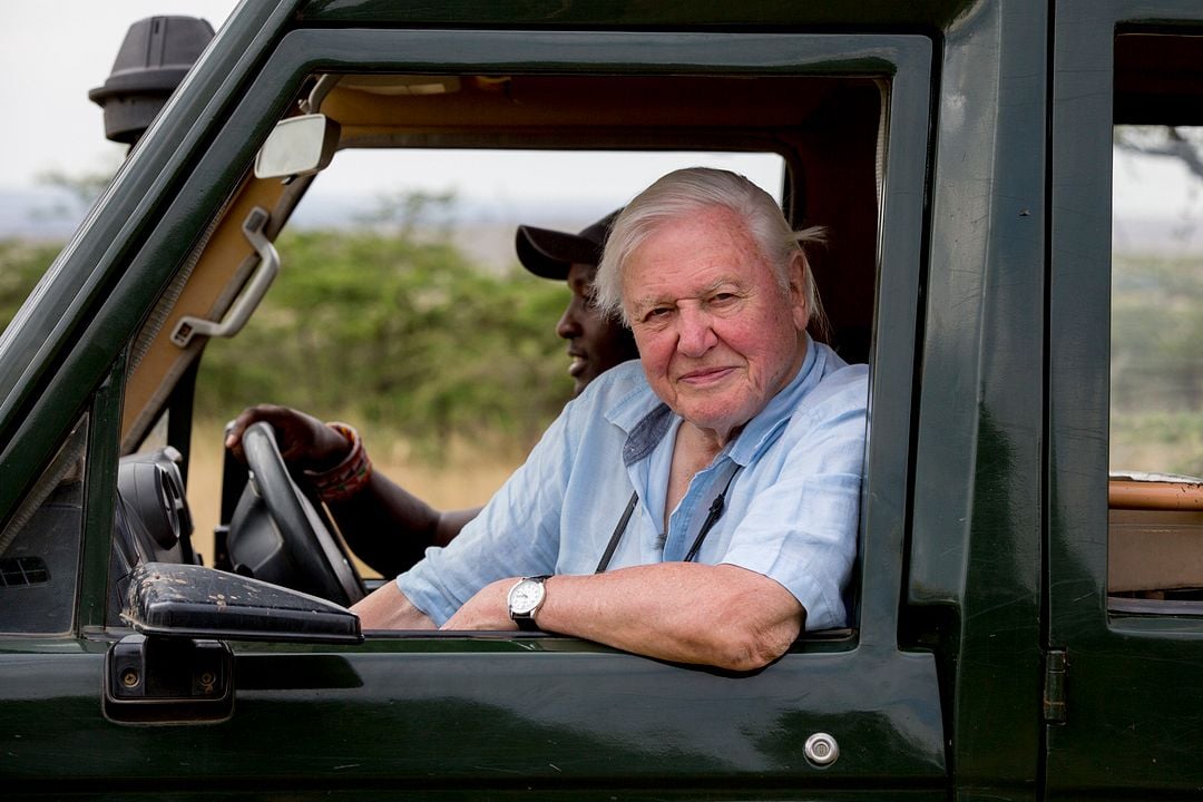 David Attenborough : une vie sur notre planète : Photo