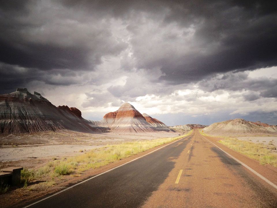 WITH - un road trip musical et slow life : Photo