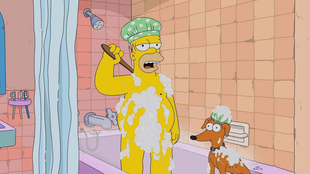 Les Simpson : Photo