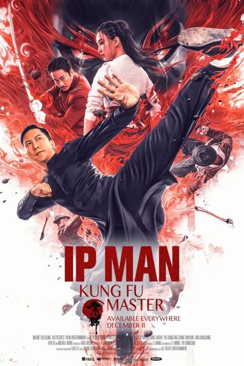 Ip Man 4 : Le dernier combat : Affiche