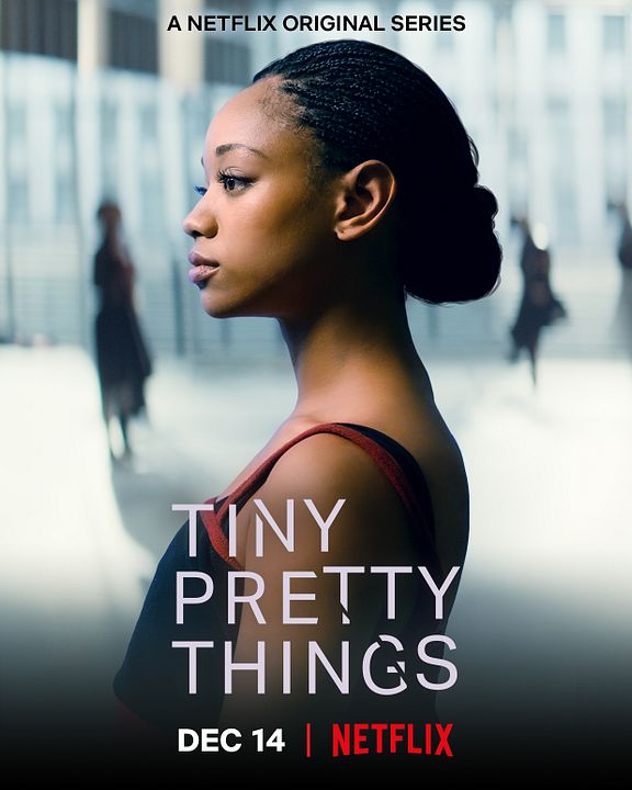 Tiny Pretty Things : Affiche