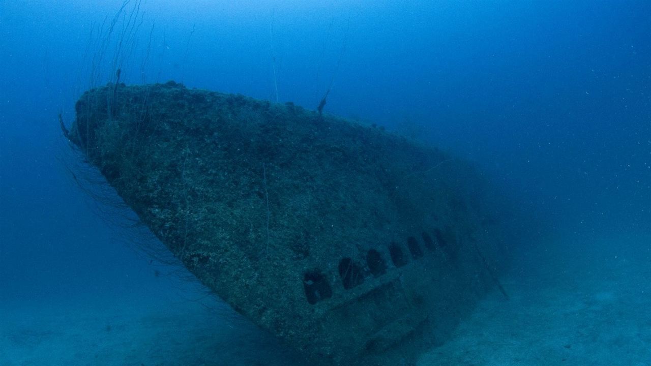 Trésors sous les mers : Affiche