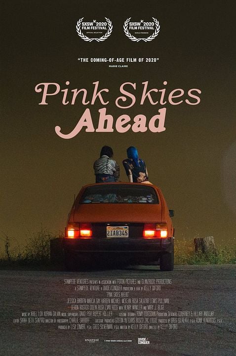 Pink Skies Ahead : Affiche