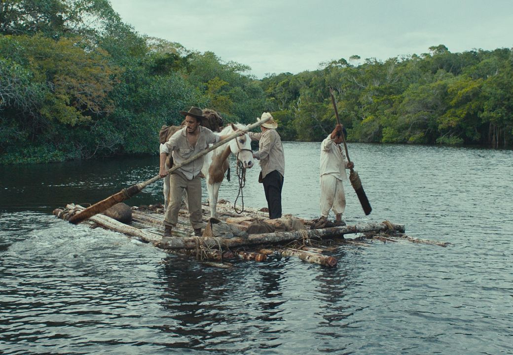 Tragic Jungle : Photo