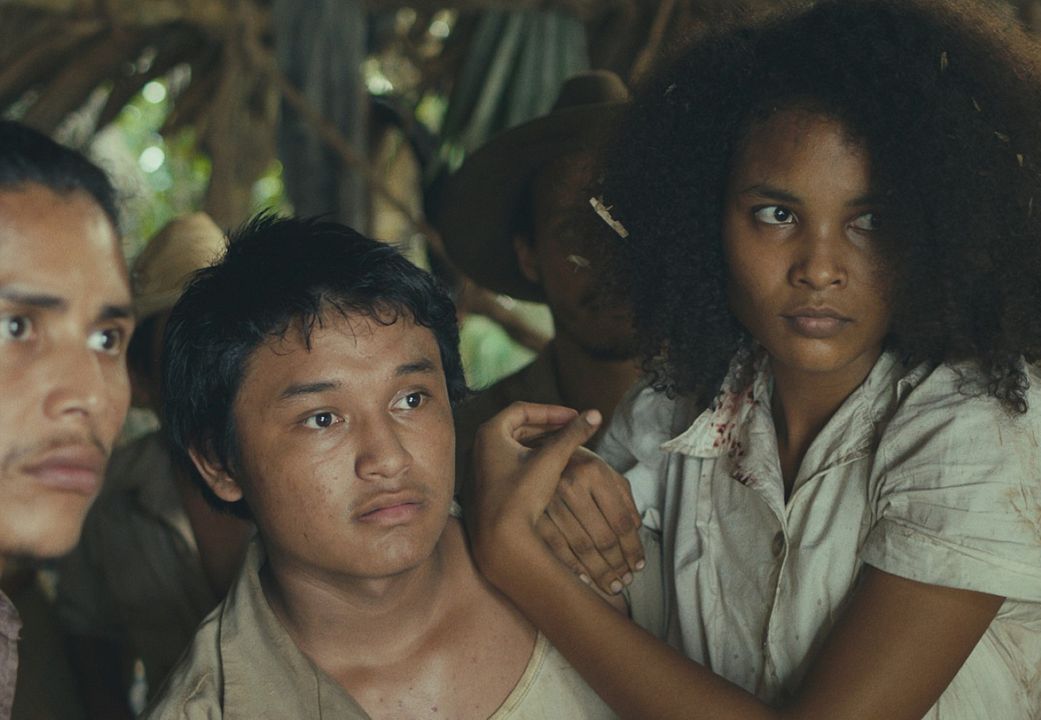 Tragic Jungle : Photo
