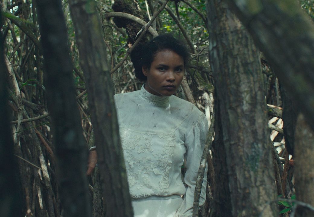 Tragic Jungle : Photo