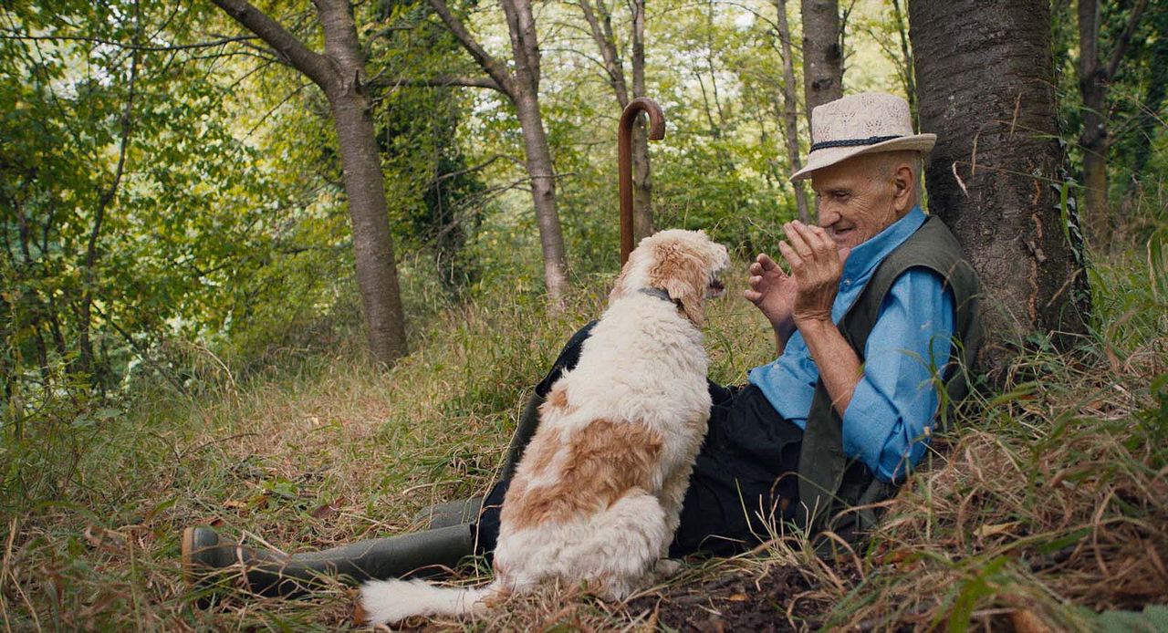 Chasseurs de truffes : Photo