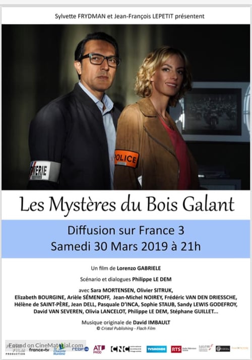 Les Mystères du Bois Galant : Affiche